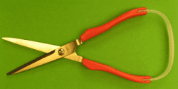 Kitchen Scissors